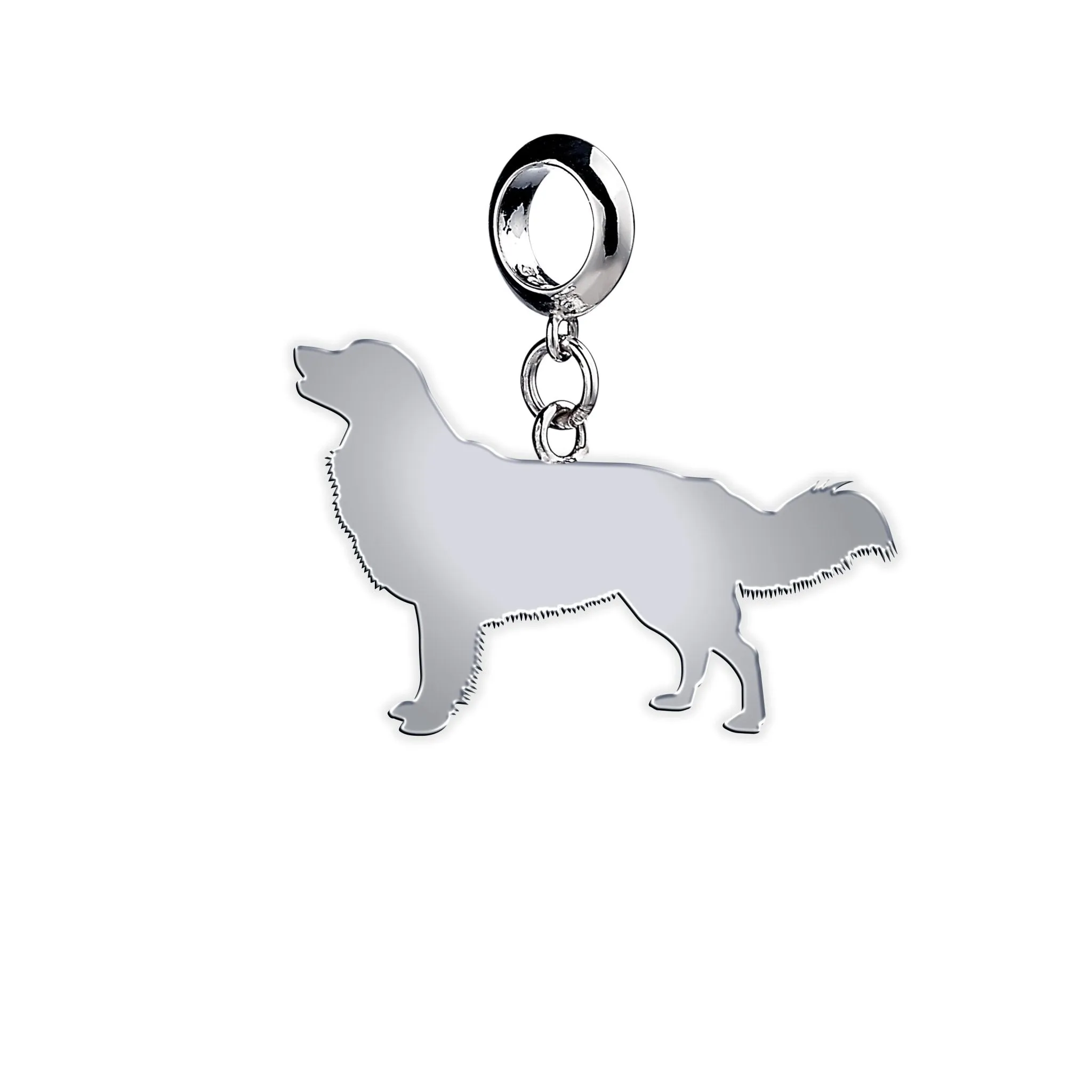 Nova Scotia Duck Tolling Retriever Silhouette Silver Charm