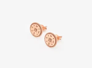 Round Pink Studs - Rose Gold Earrings - Gold Compass Earrings