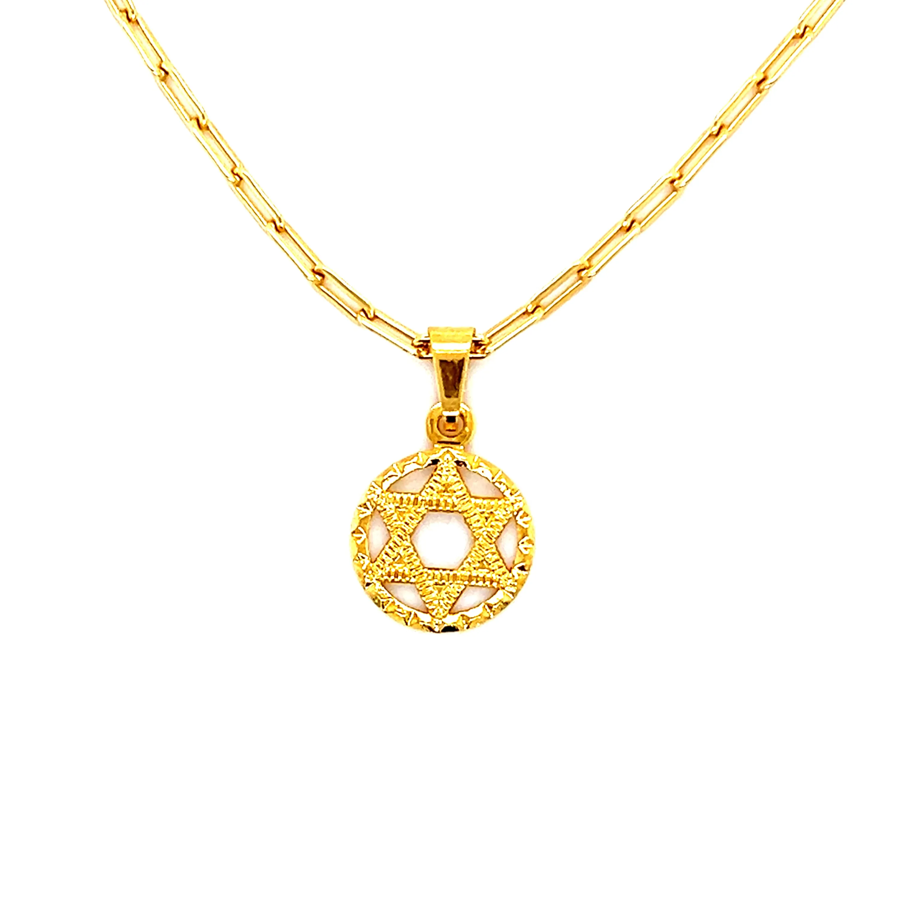 Round Star of David on Paperclip Necklace