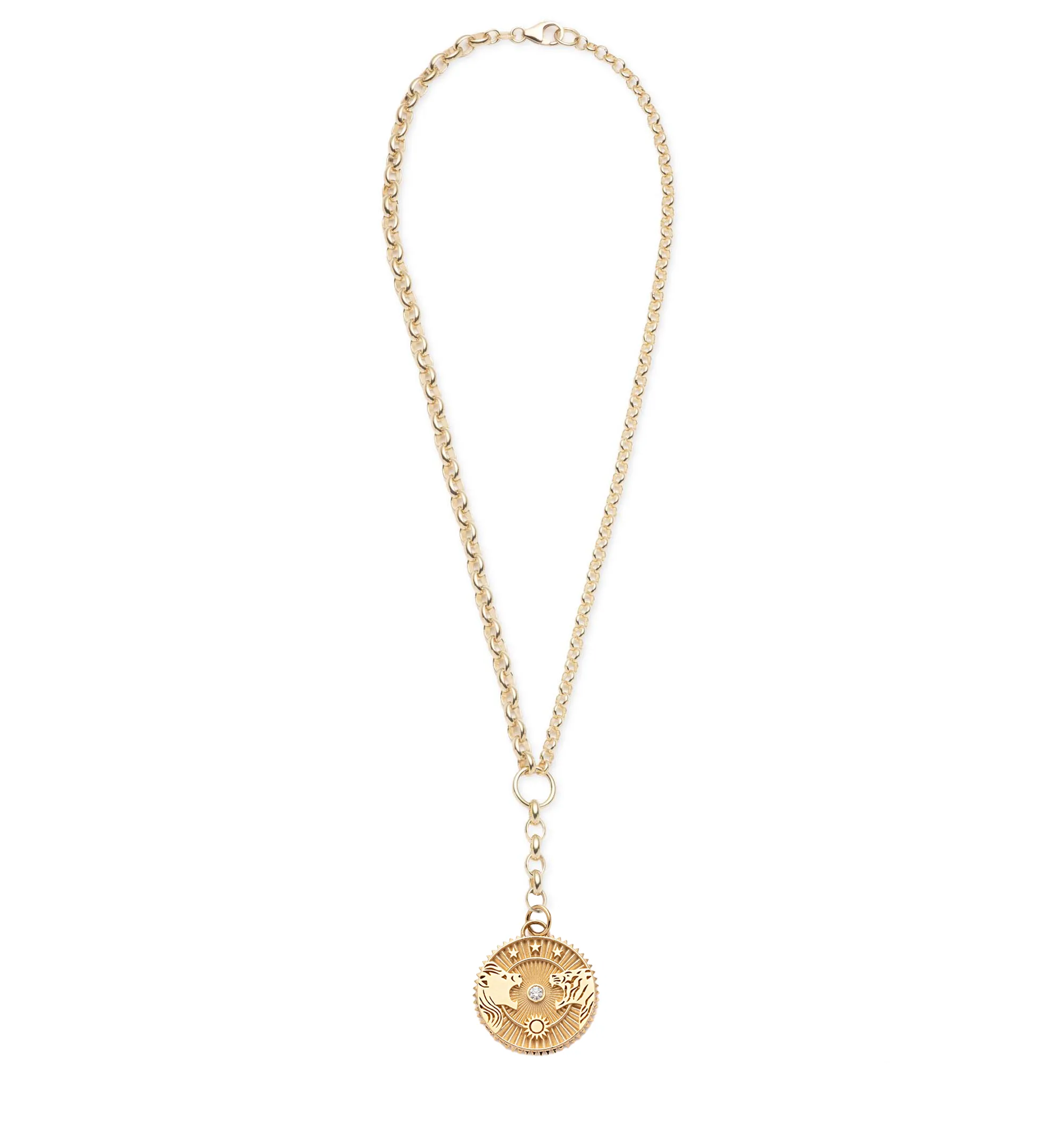 Strength Specialty Medallion : Heavy Mixed Belcher Extension Chain Necklace